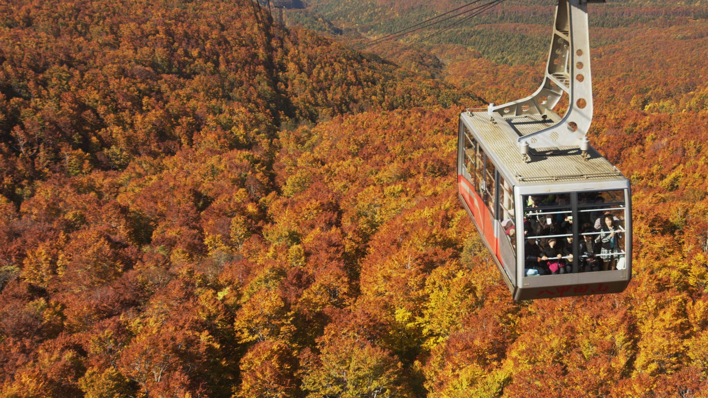 A Hakkoda Ropeway cabin glides over beech forest in full autumn colour.