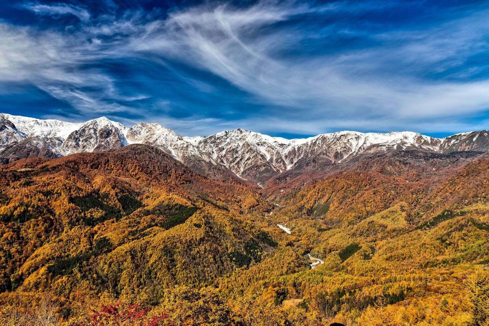 The snow-capped Hakuba Sanzan rise above autumn forest in the view from the Hakuba Iwatake summit.