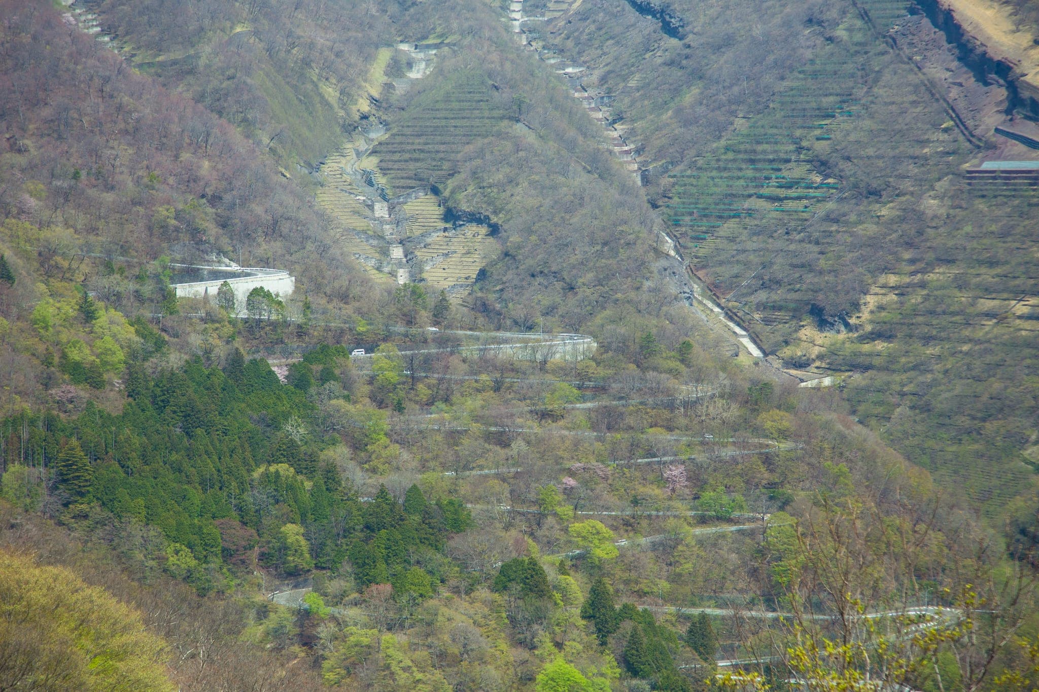 The hairpin bends of the Irohazaka road stack up the forested slope below Akechidaira