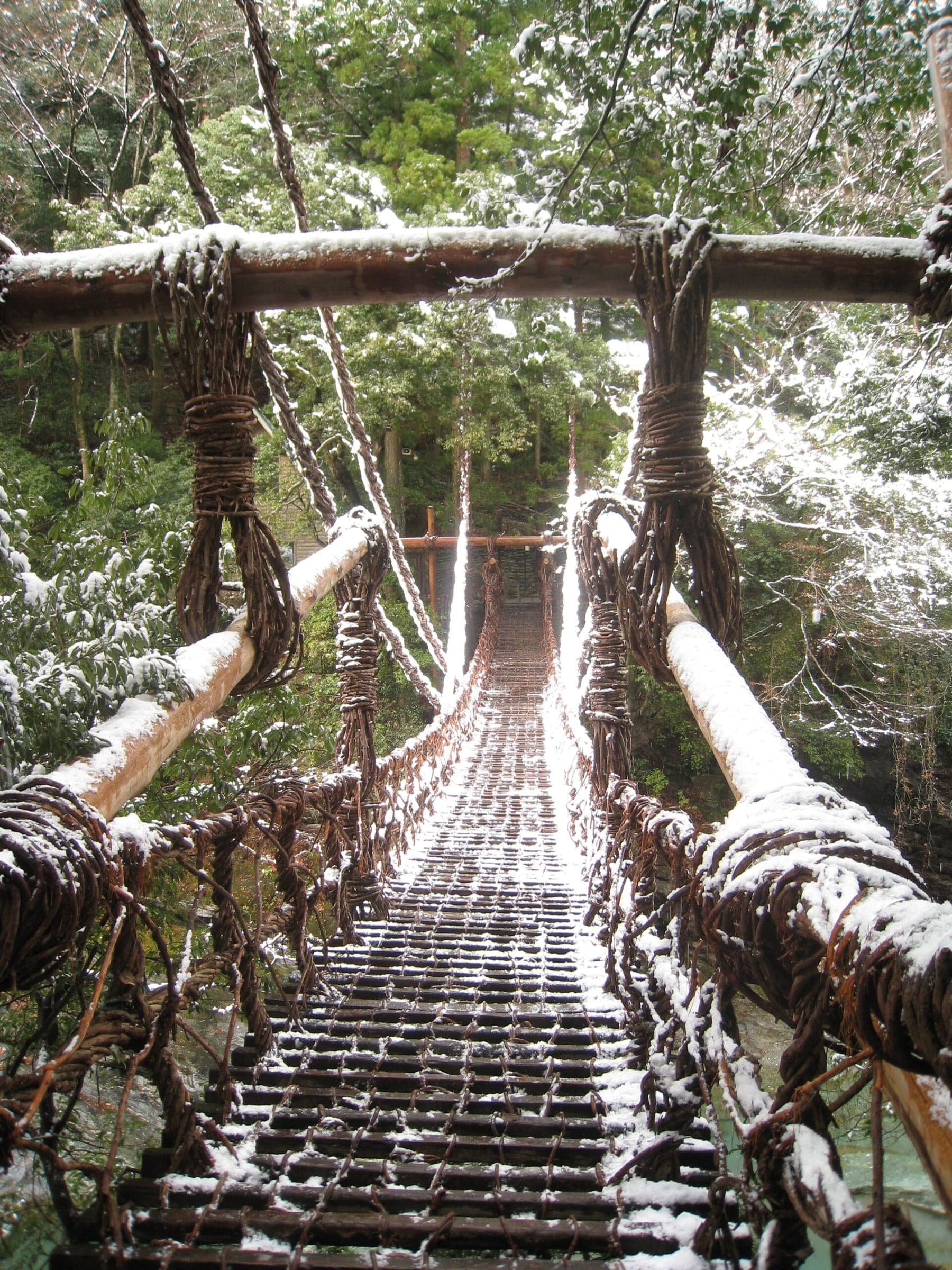 Fresh snow lines the vine ropes and slats of the Iya Kazurabashi in December.