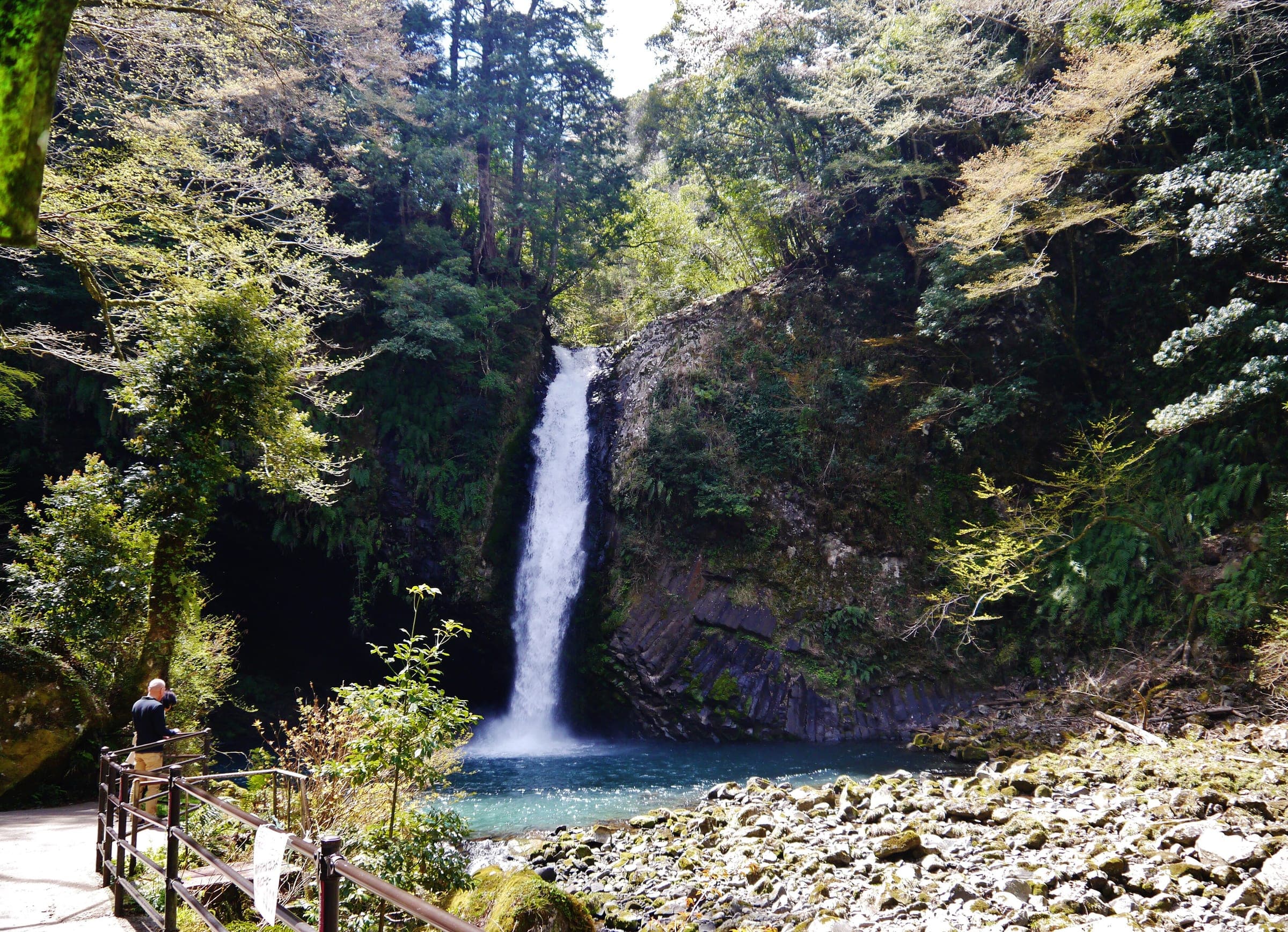 Fresh spring green surrounds the gorge and plunge pool below Joren Falls in Izu.