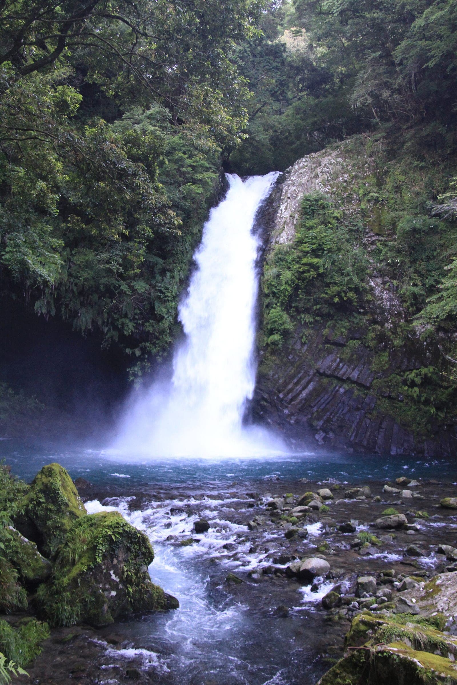 Joren Falls pours off a basalt cliff into its pool on the upper Kano River in Izu.
