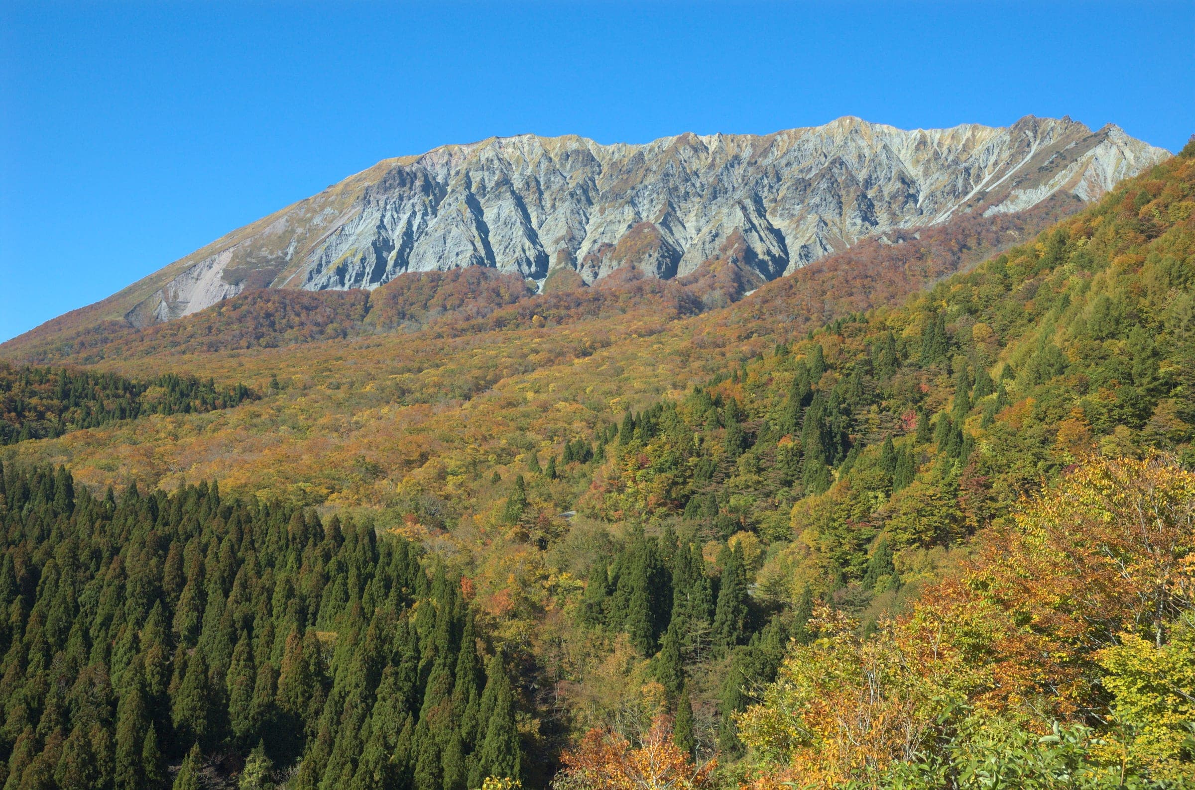 Autumn beech forest spreads below the bare south face of Mount Daisen in this view from Kagikake Pass