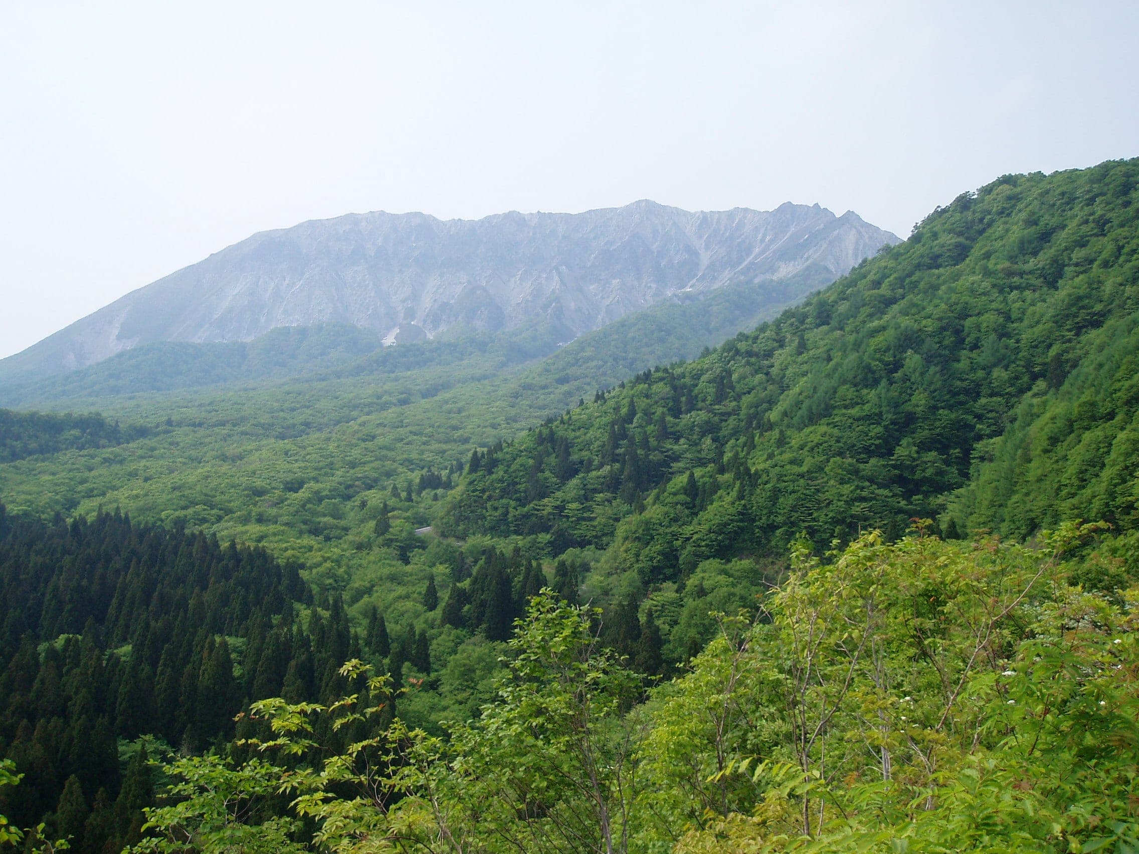 Fresh green forest climbs toward the jagged south wall of Mount Daisen from Kagikake Pass