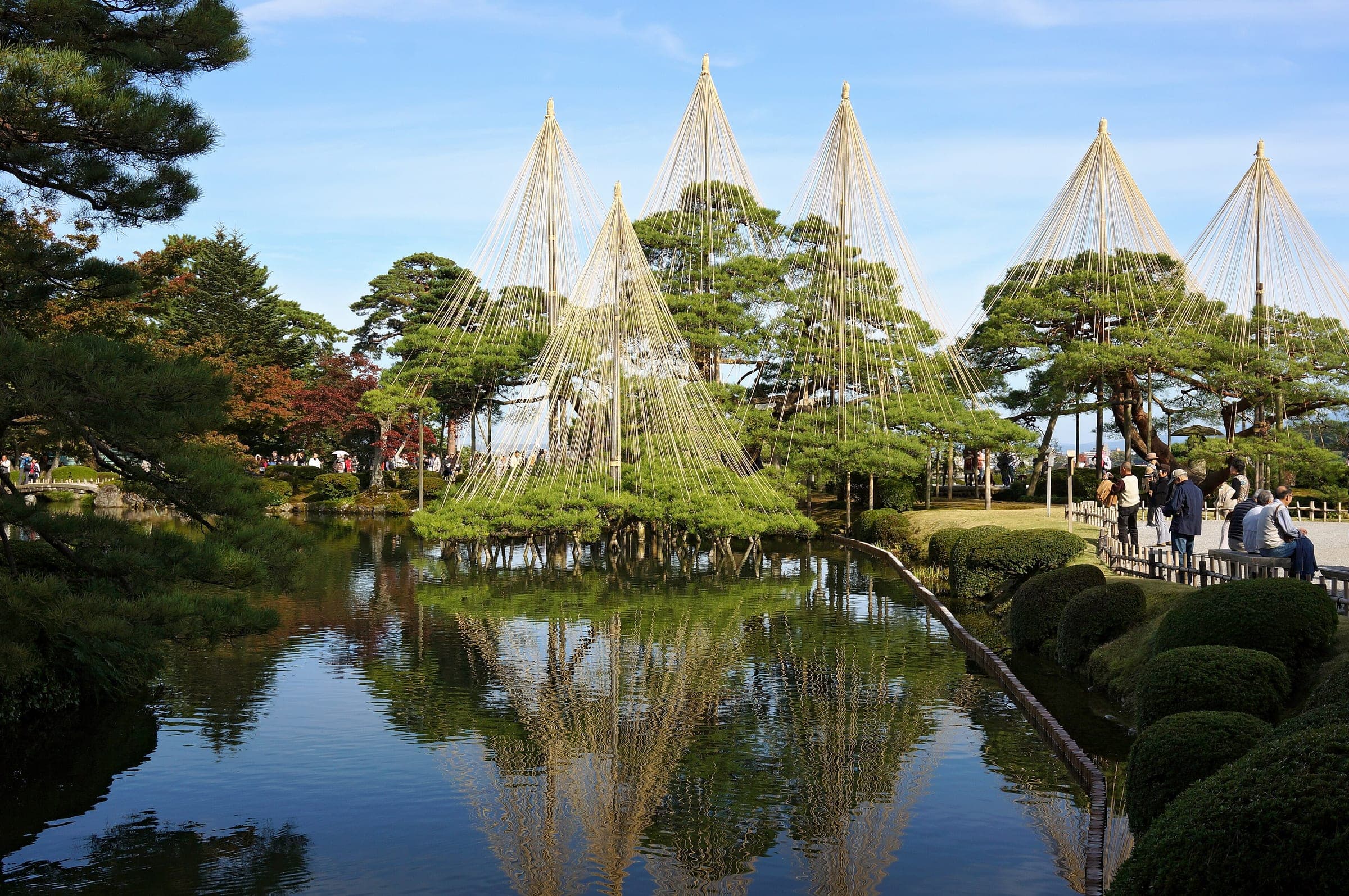 Yukitsuri rope cones guard the pines of Kenroku-en and reflect in Kasumiga-ike pond in November