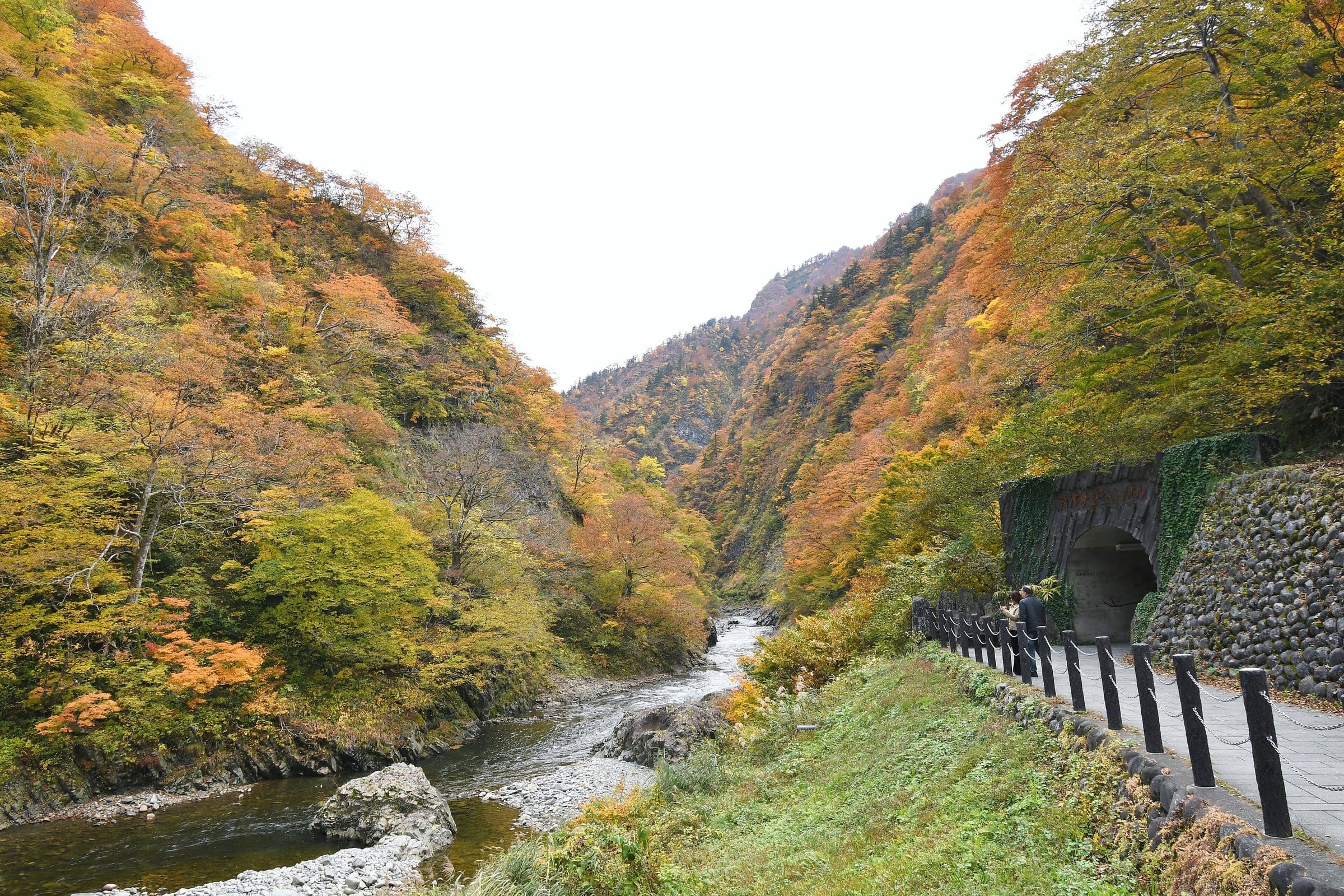 Autumn maples crowd Kiyotsu Gorge where the path reaches the tunnel entrance beside the river