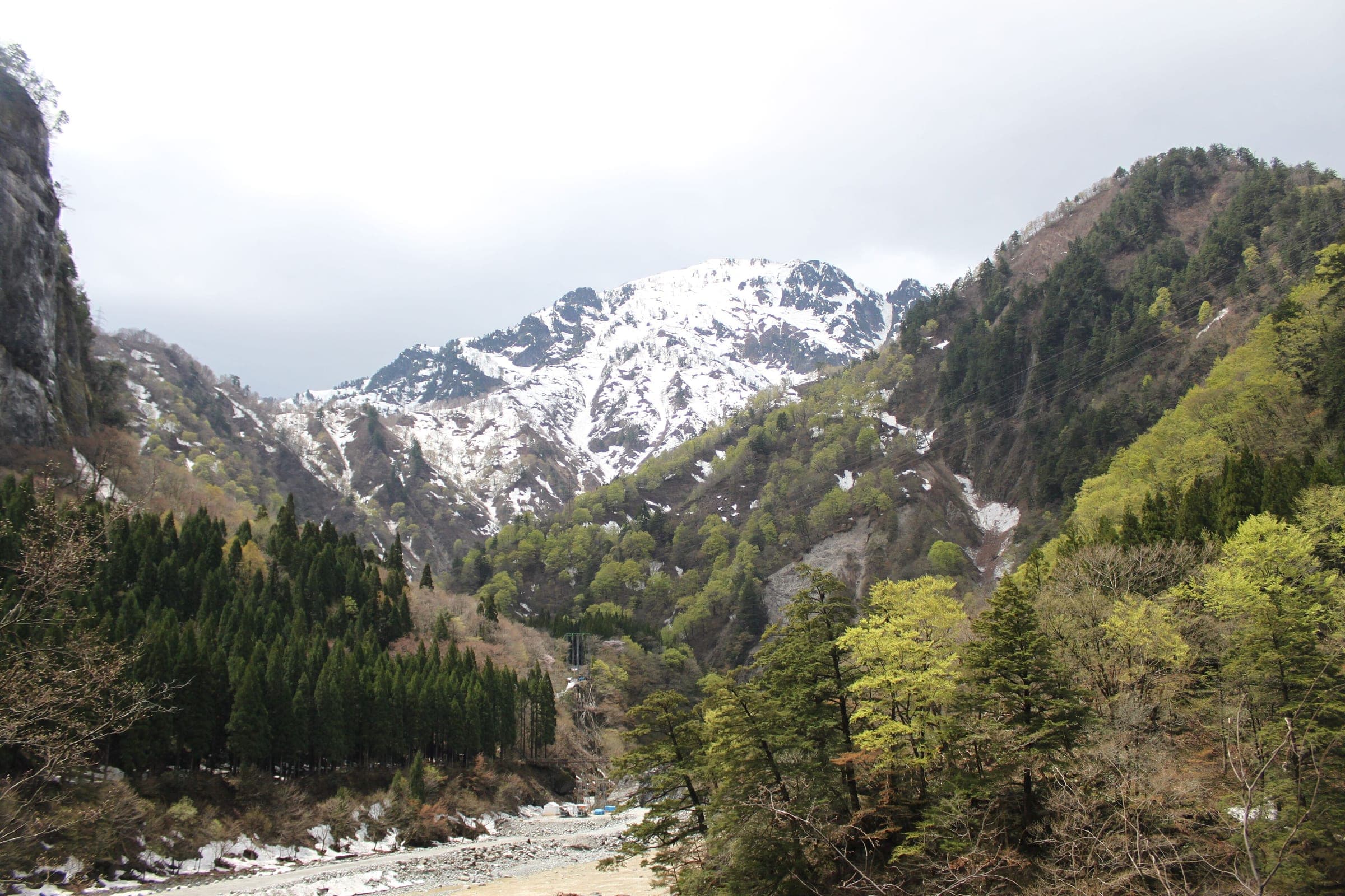 Snowy peaks rise above the forested Kurobe Gorge in the view from the gorge railway in spring