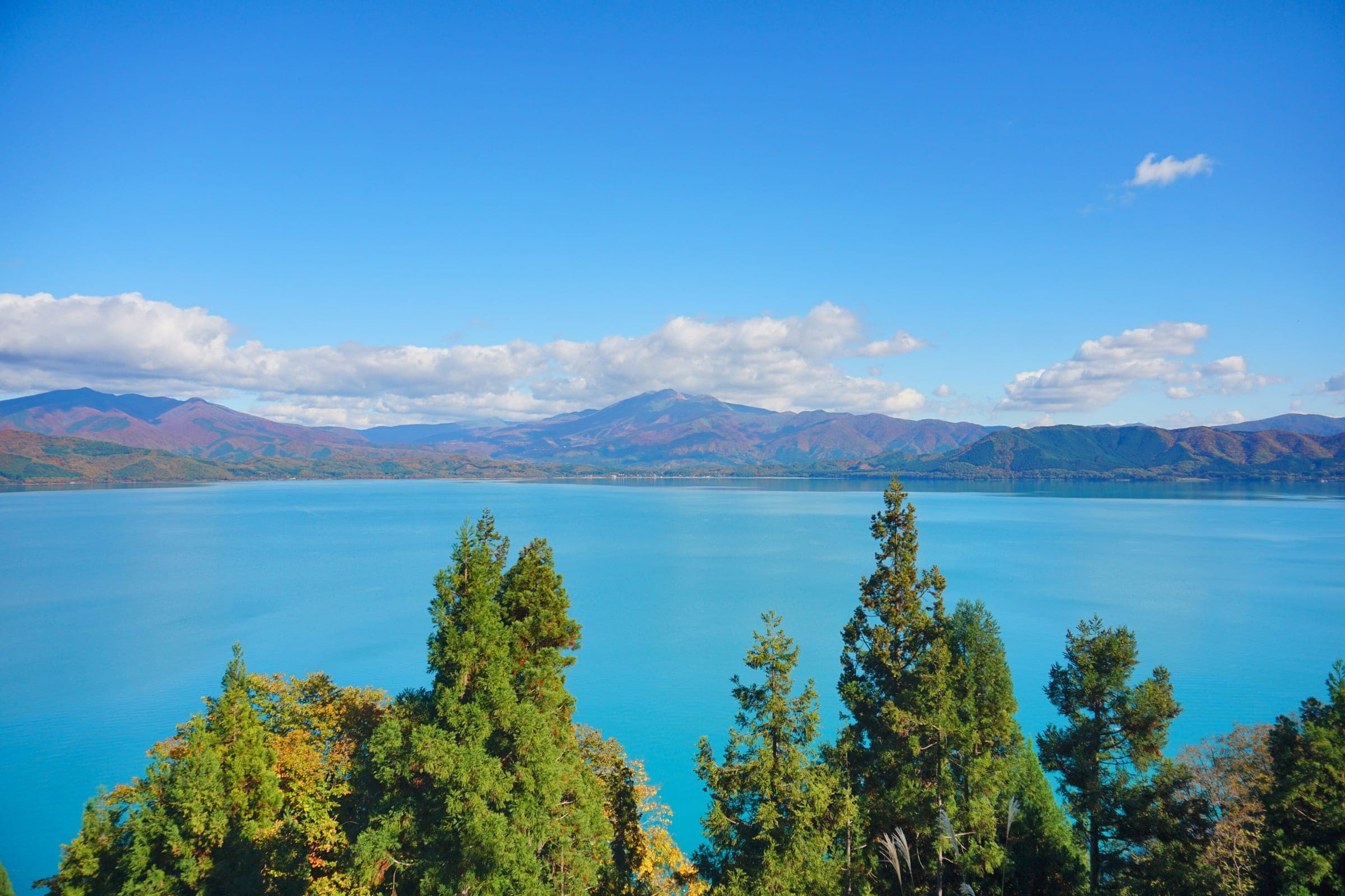 Cedars frame the deep blue water of Lake Tazawa below autumn hills in October.