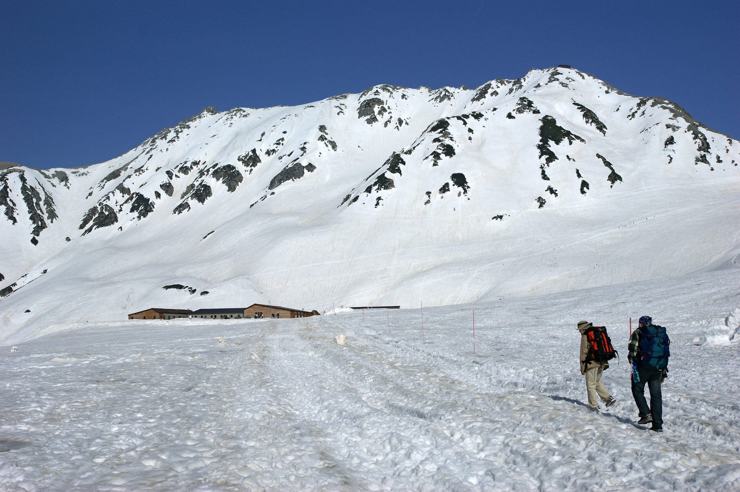 Two hikers cross the snowfield at Murodo below the white peaks of Mount Tate in early May