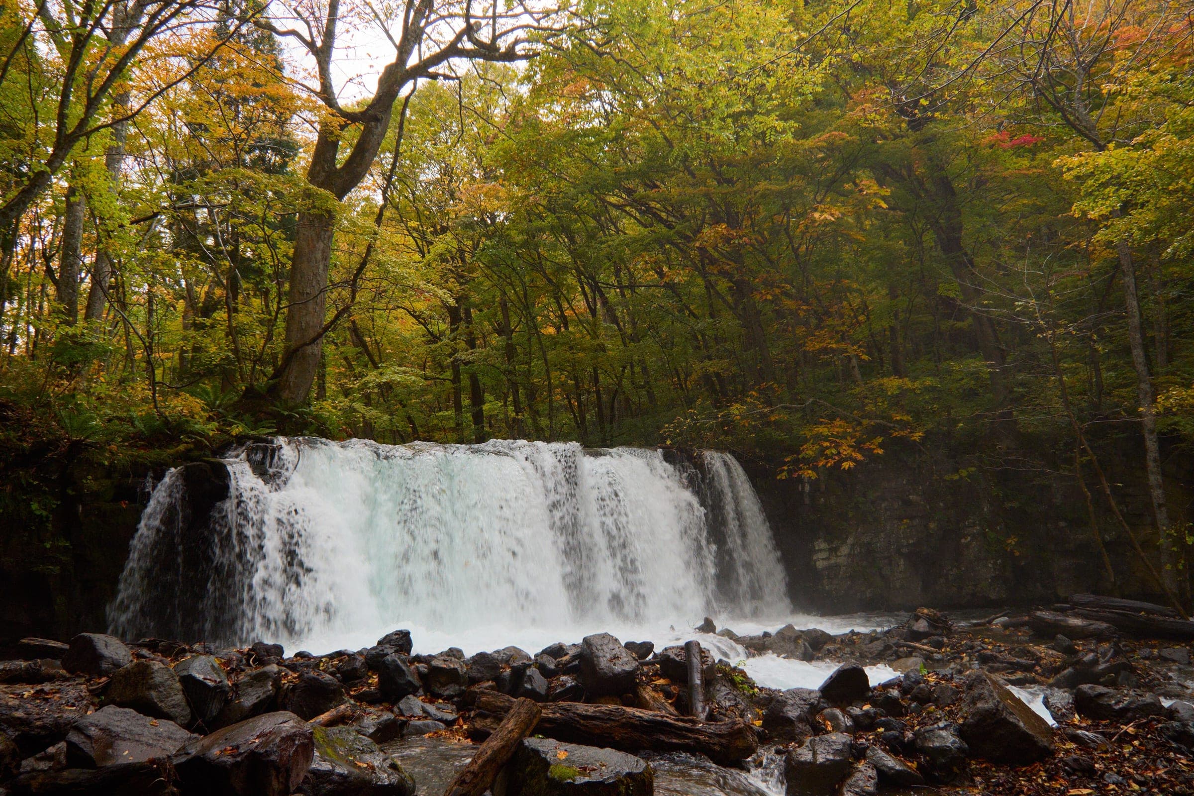 Choshi Otaki falls spill across the full width of the Oirase stream in autumn woods.
