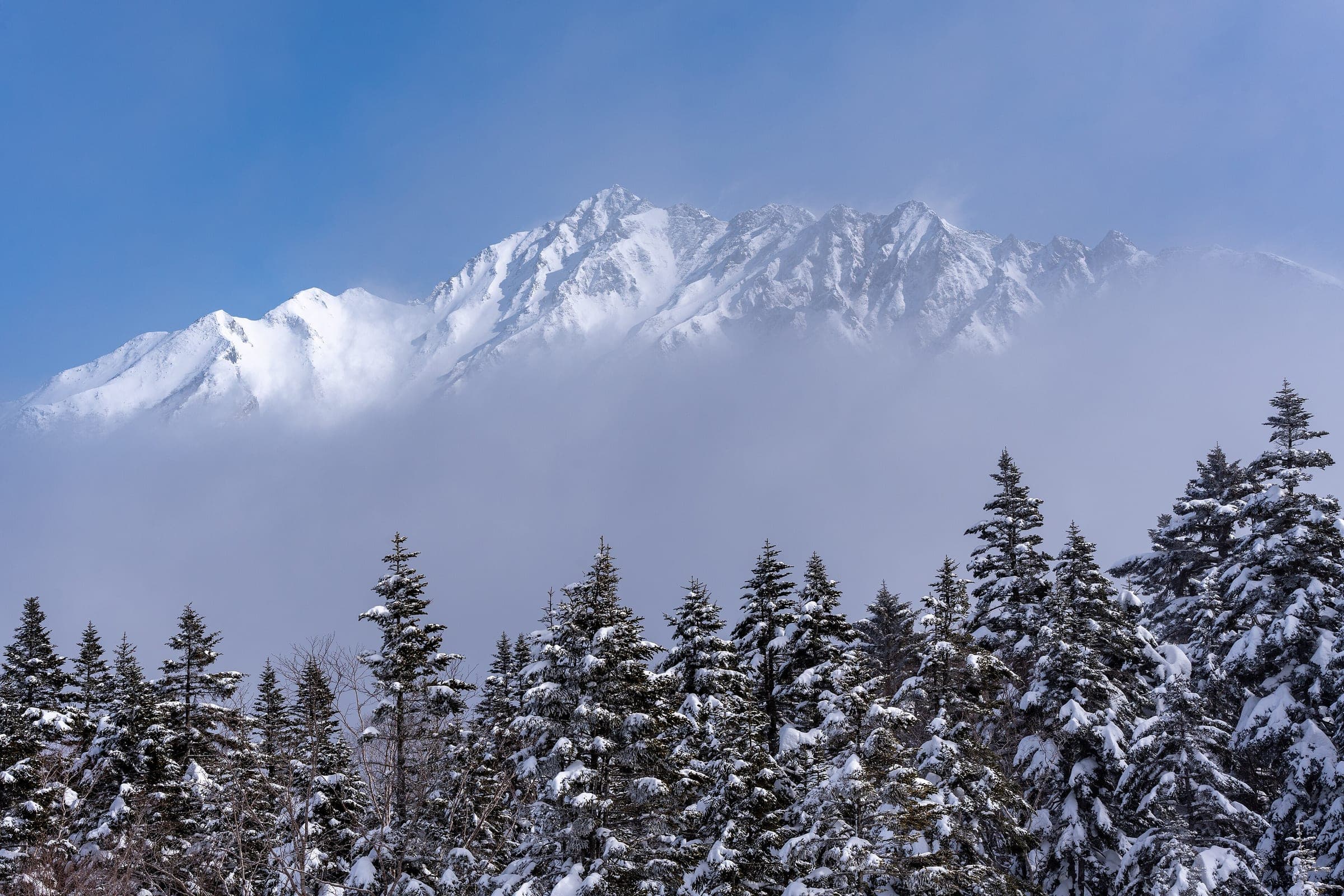 Mount Nishihotaka's snowy ridge rises above cloud and frosted firs above the Shin-Hotaka Ropeway in February