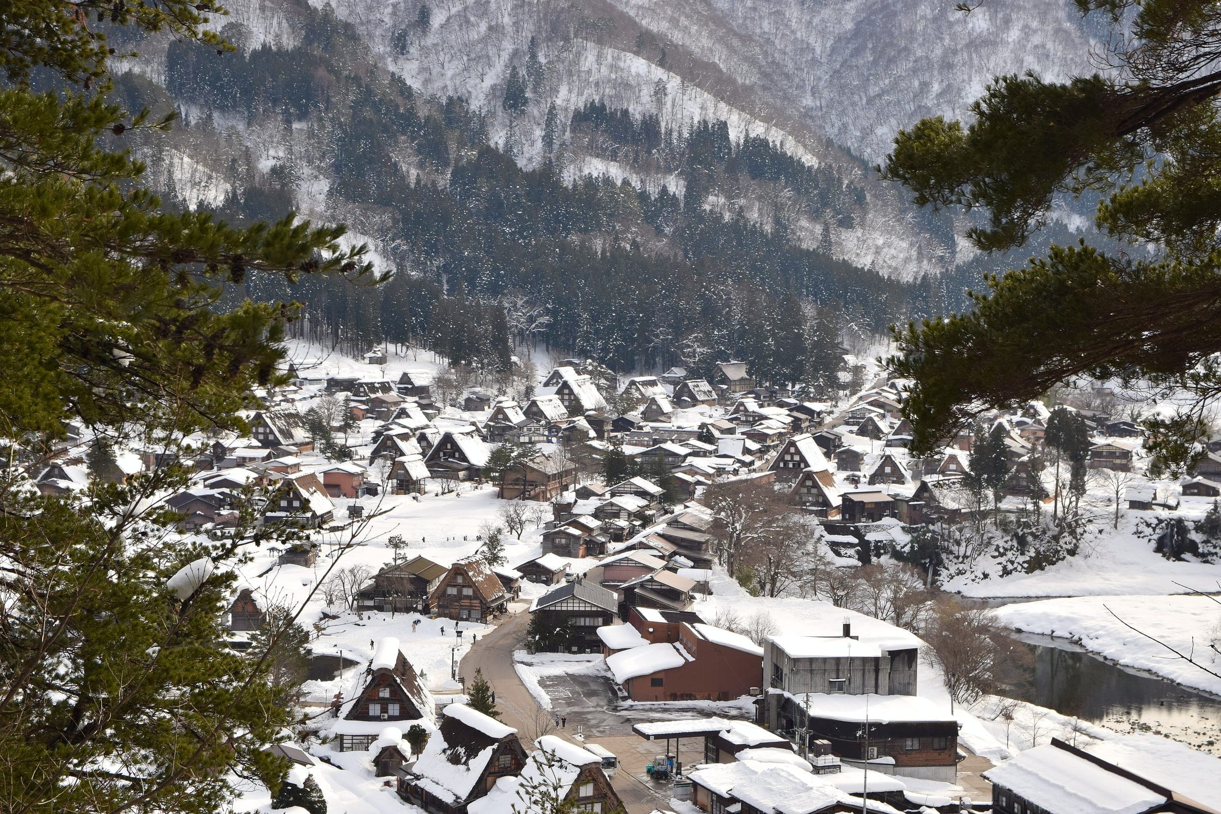 Snow covers the thatched roofs of Ogimachi in Shirakawa-go seen through pines from the castle site observatory