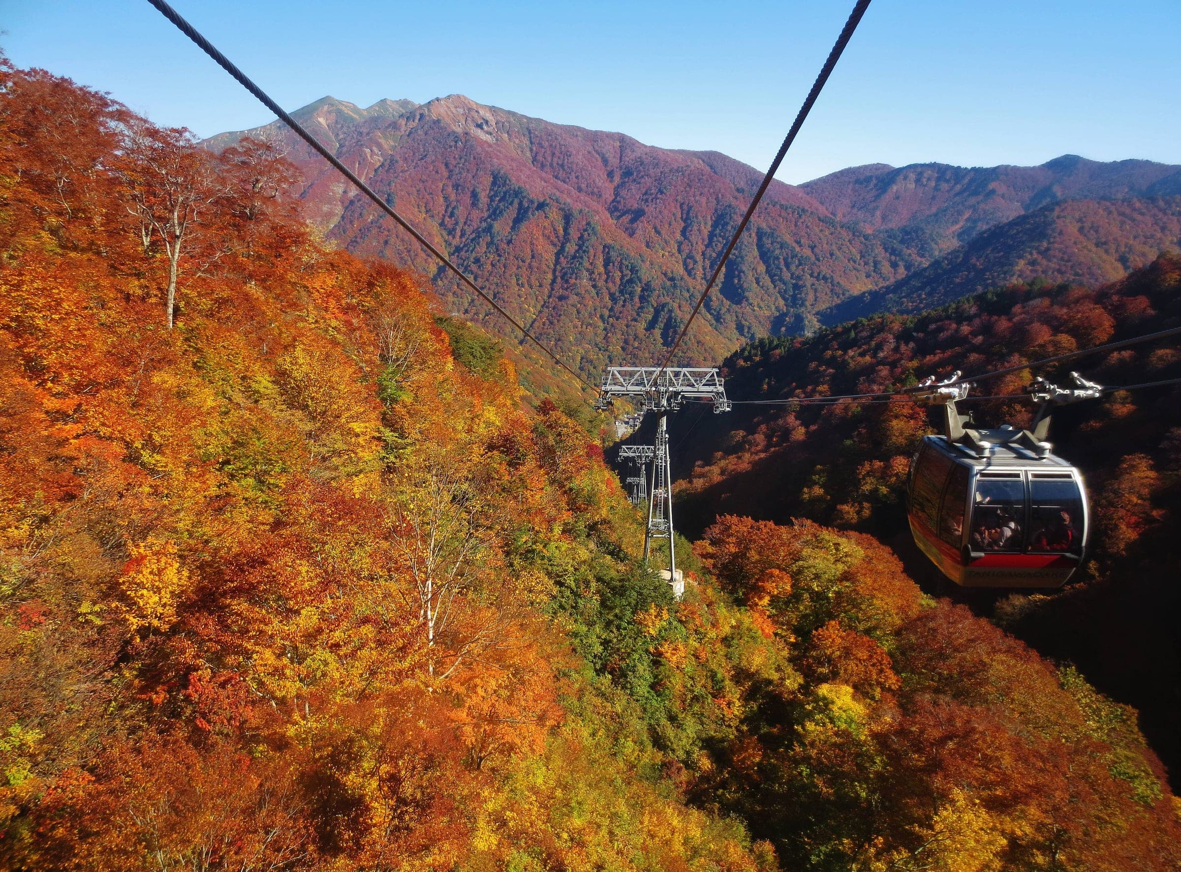 A Tanigawadake Ropeway gondola climbs over red and gold beech forest in October