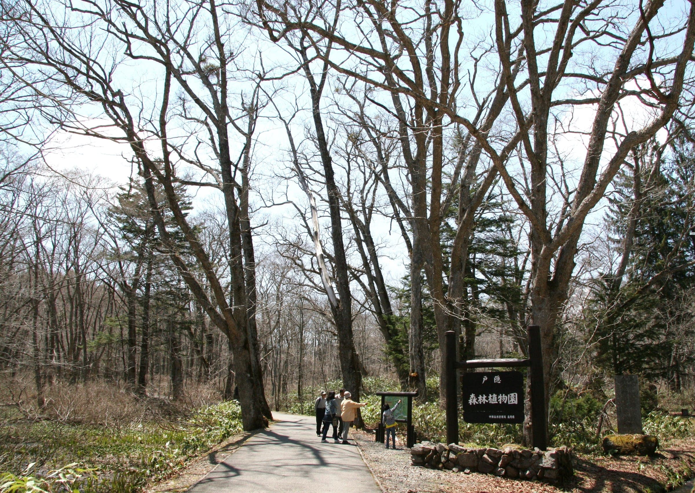 Walkers enter Togakushi Forest Botanical Garden under bare spring trees on a paved path.