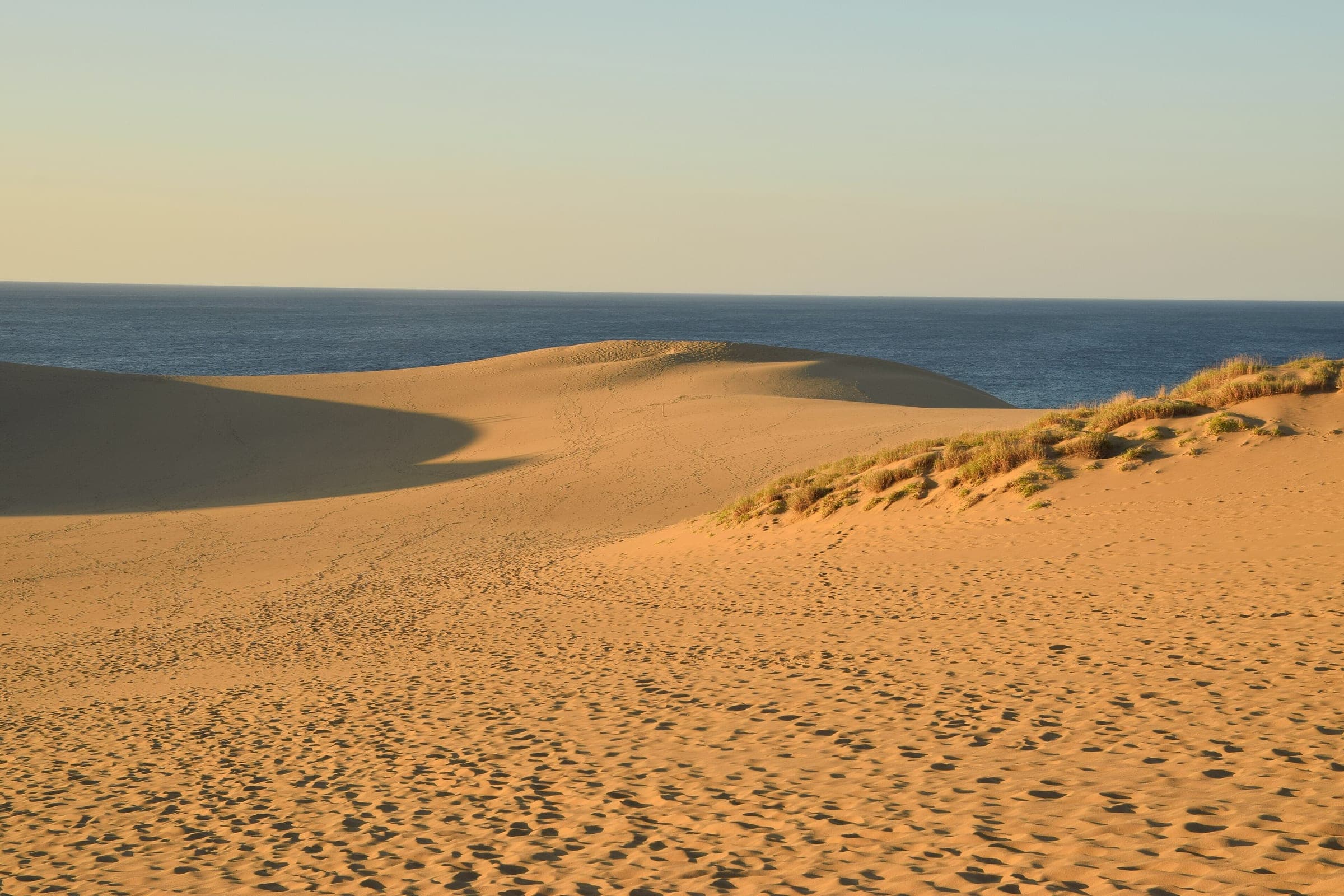 Low sun lights the sand ridge of the Tottori Sand Dunes above the sea in October