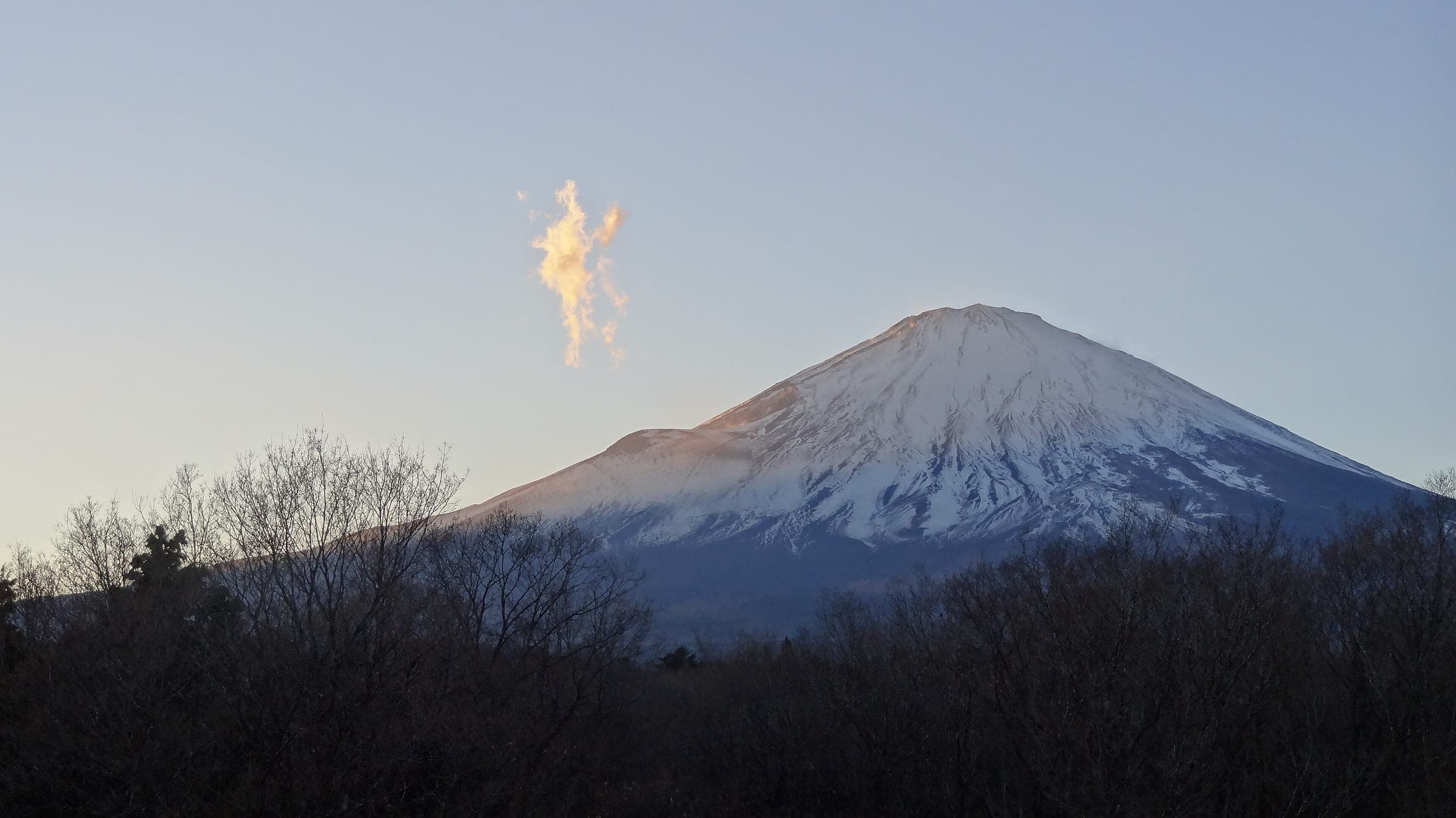 Mt. Fuji turns pink at dusk above the forest around the Fuji Gotemba distillery in December.