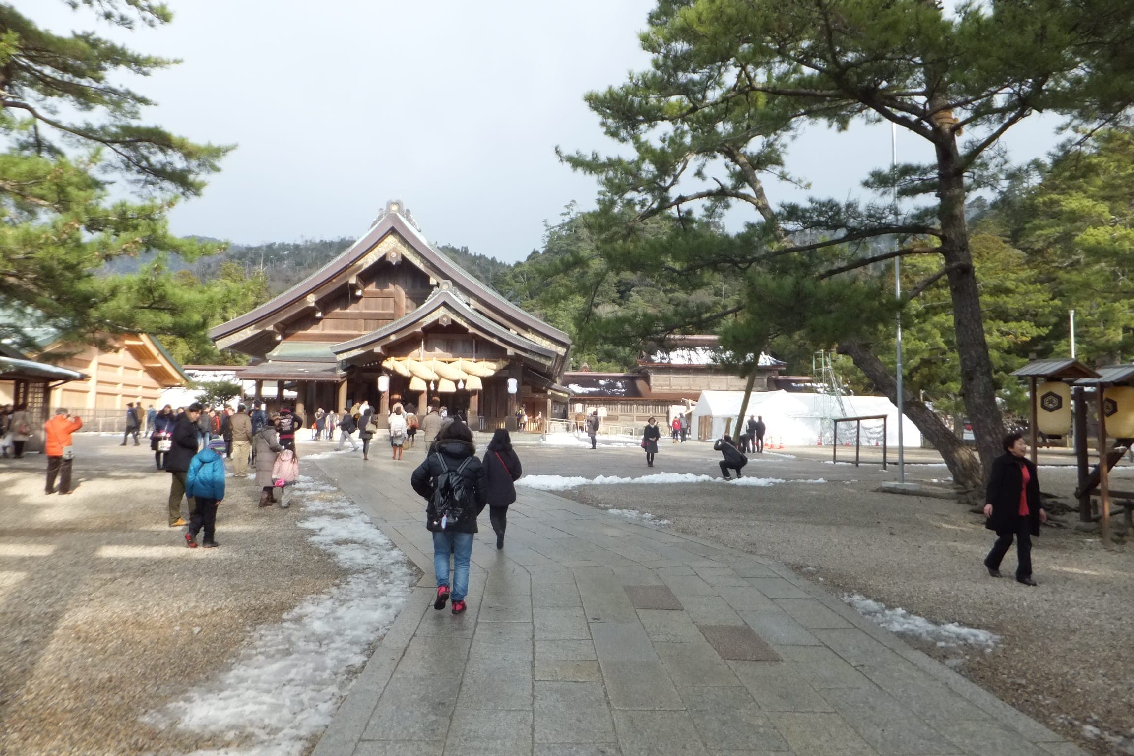 Visitors walk the pine-lined approach toward the halls of Izumo Taisha in late December