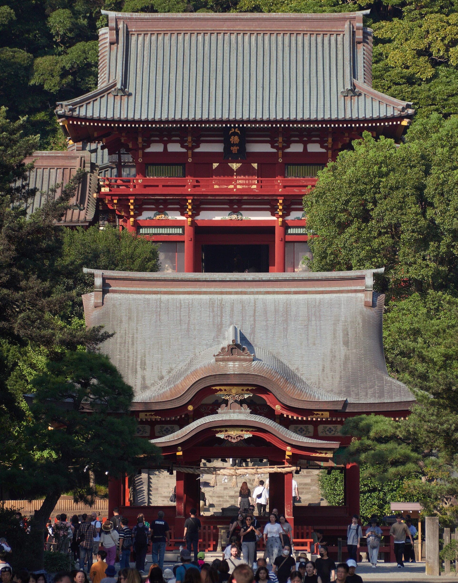 The red gate and worship hall of Tsurugaoka Hachimangu stand among trees above Kamakura.