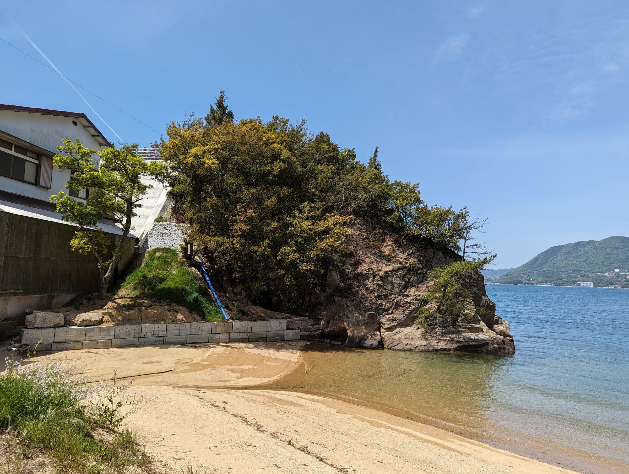A pocket of sand and a pine-topped rock edge the clear water of a cove on Iwagijima.