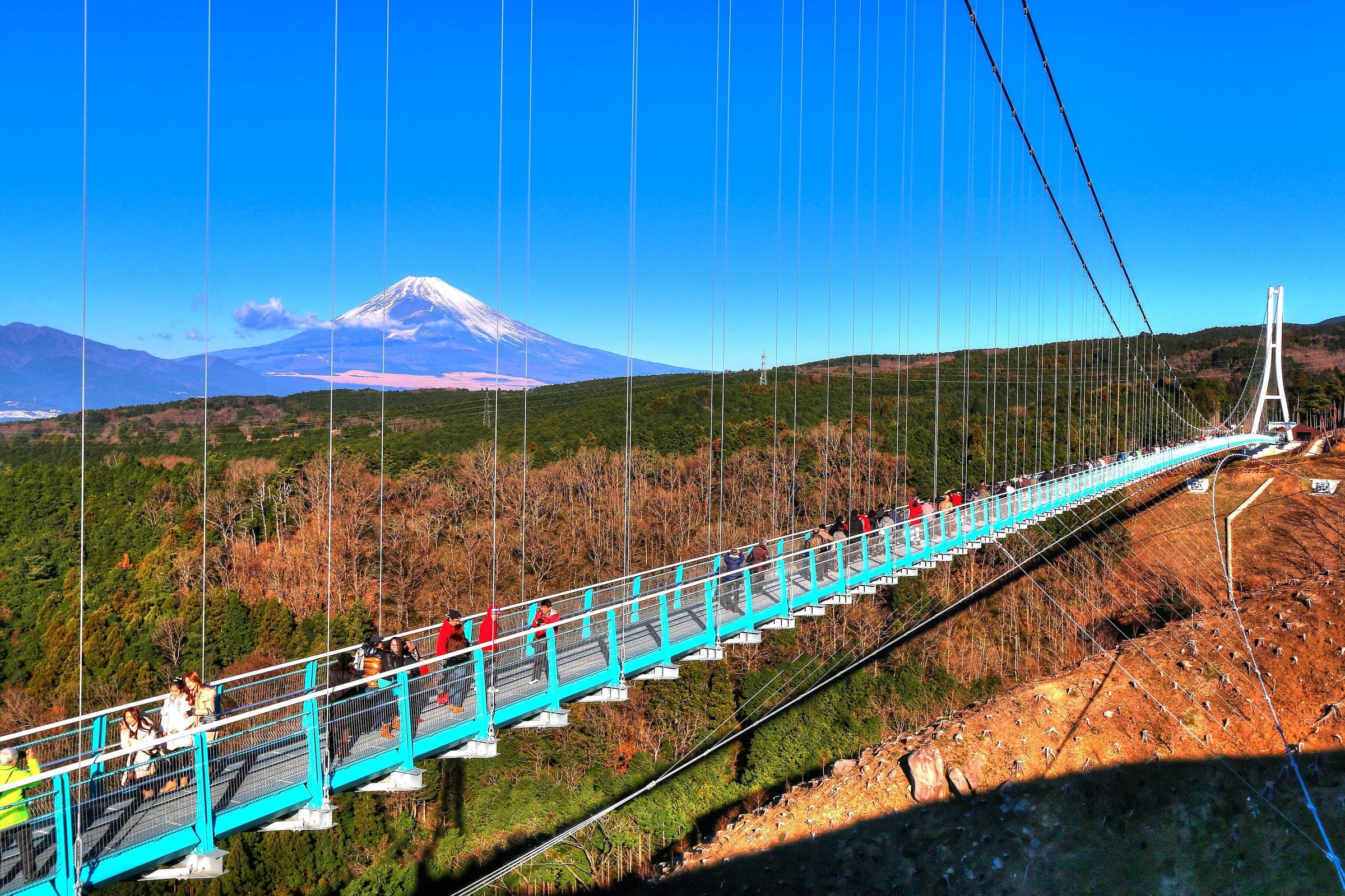 Walkers cross the Mishima Skywalk suspension bridge with snow-capped Mt. Fuji beyond the forest.