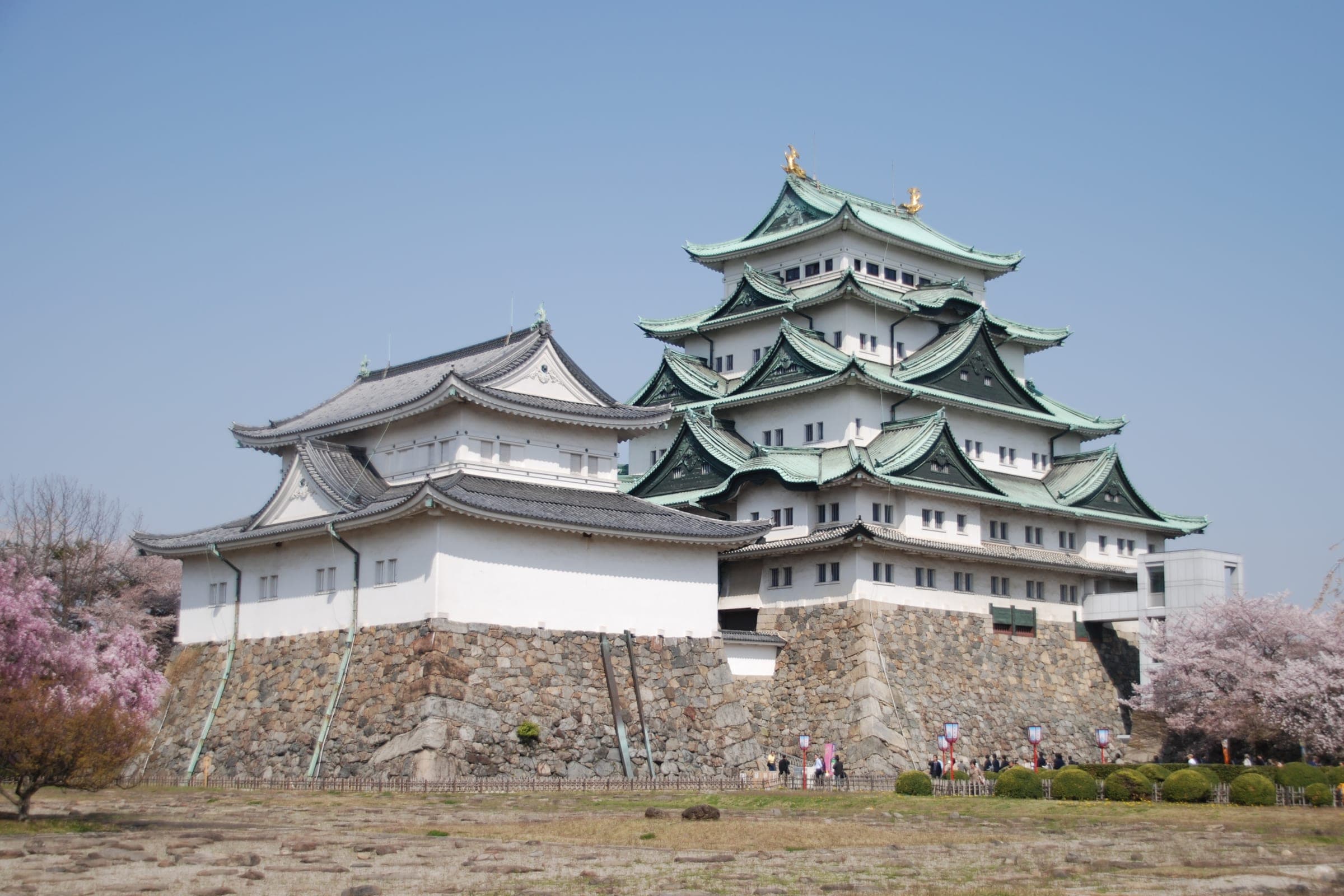 Cherry trees bloom below the stone walls of Nagoya Castle in early April