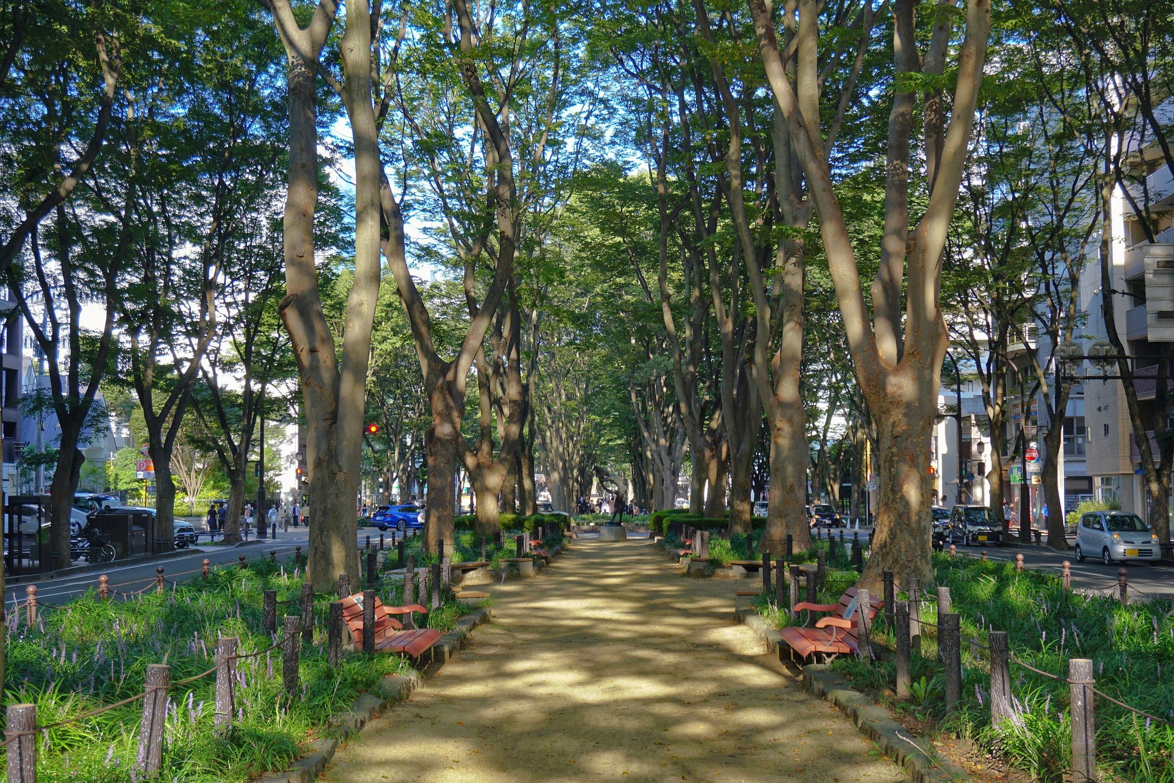 A shaded footpath runs between tall zelkova trees down the centre of Jozenji-dori in Sendai.
