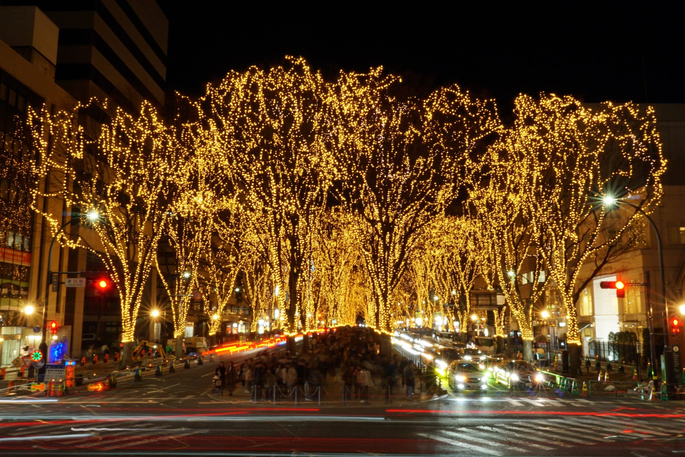 Lights cover the zelkova trees of Jozenji-dori in Sendai during the December Pageant of Starlight.