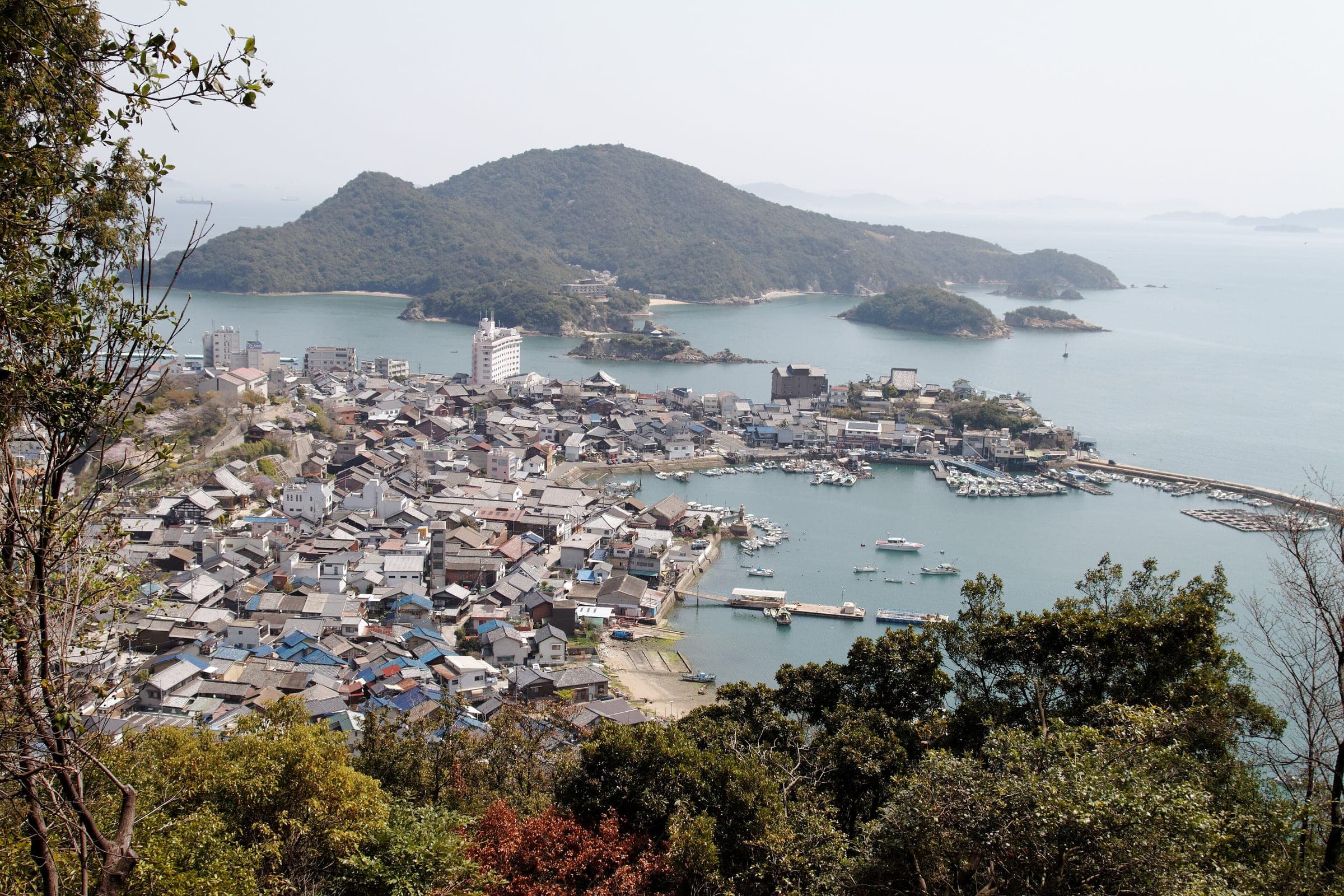 Tomonoura's tiled roofs crowd the harbour in front of Sensuijima, seen from the hill above town.